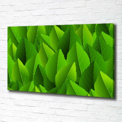 Canvas wall art Green leaves