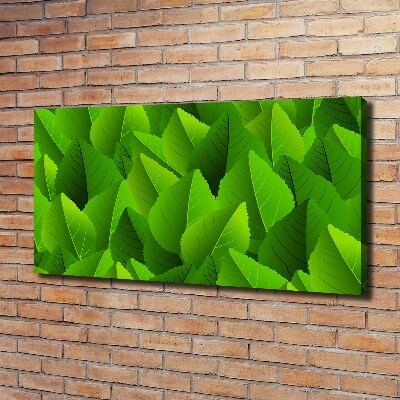 Canvas wall art Green leaves