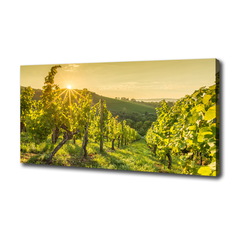 Canvas wall art Vineyard