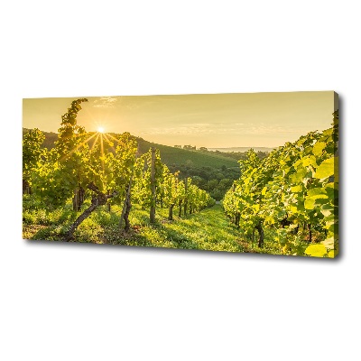 Canvas wall art Vineyard