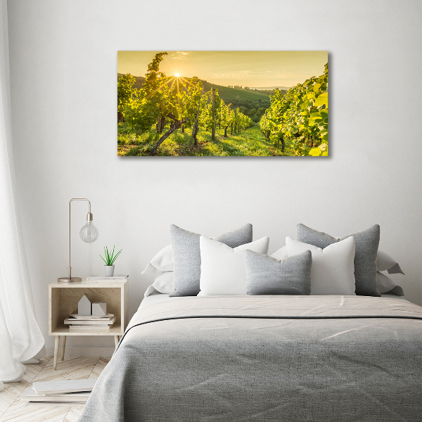 Canvas wall art Vineyard