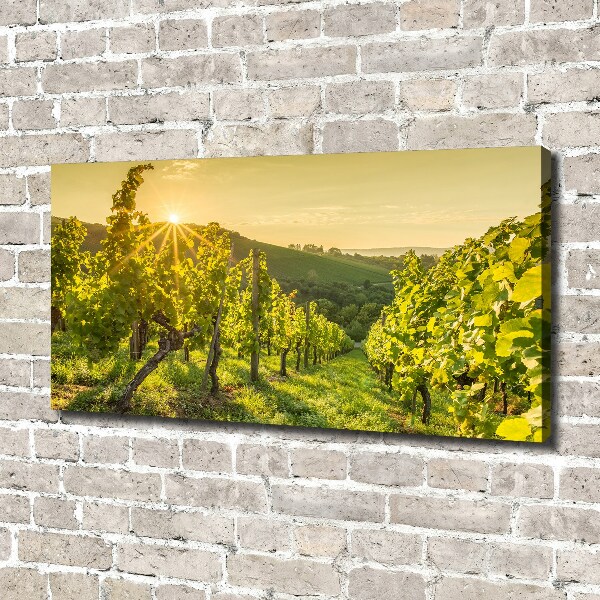 Canvas wall art Vineyard