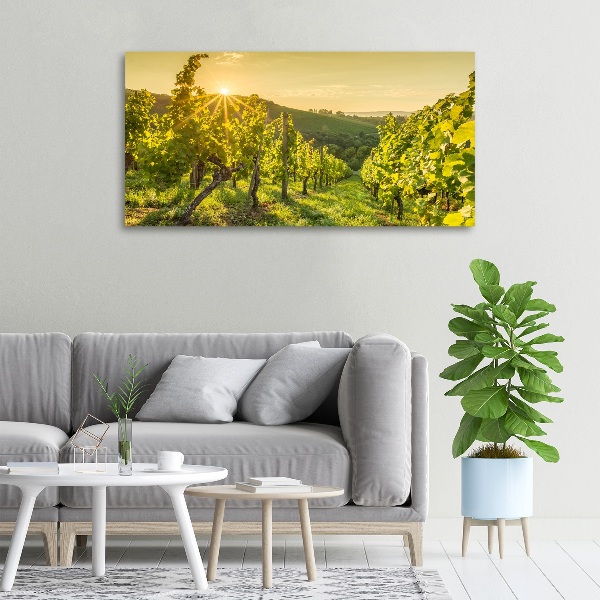 Canvas wall art Vineyard