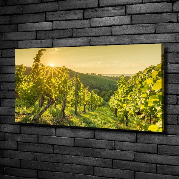 Canvas wall art Vineyard