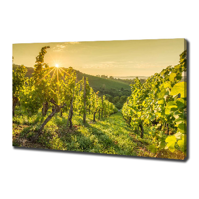 Canvas wall art Vineyard