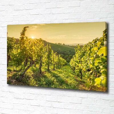 Canvas wall art Vineyard