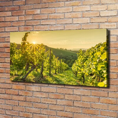 Canvas wall art Vineyard