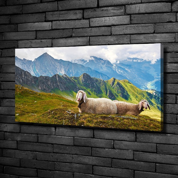 Canvas wall art Sheep in the Alps