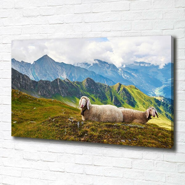 Canvas wall art Sheep in the Alps