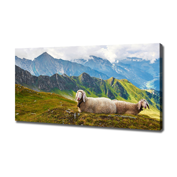 Canvas wall art Sheep in the Alps