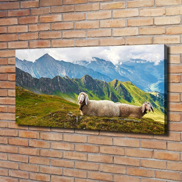 Canvas wall art Sheep in the Alps