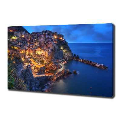 Canvas wall art Manarola Italy