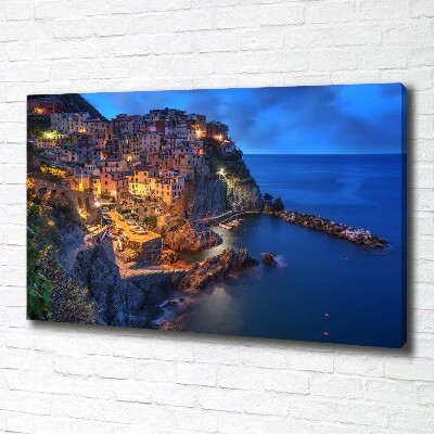 Canvas wall art Manarola Italy