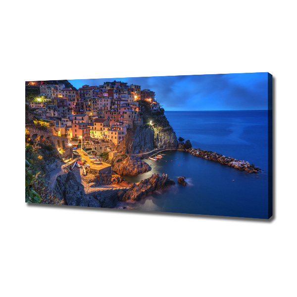 Canvas wall art Manarola Italy