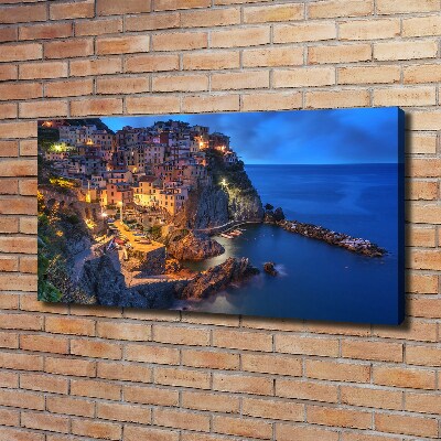 Canvas wall art Manarola Italy