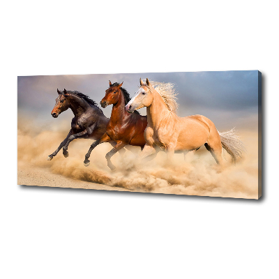 Canvas wall art Horses at gallop