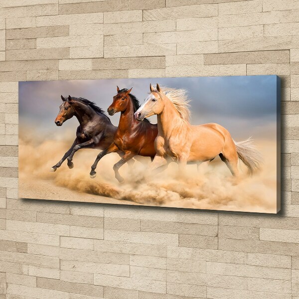 Canvas wall art Horses at gallop