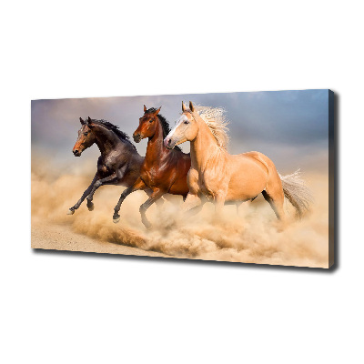 Canvas wall art Horses at gallop