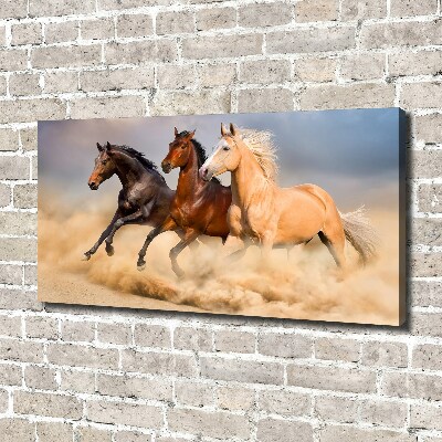 Canvas wall art Horses at gallop