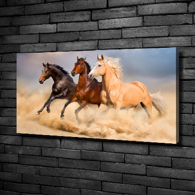 Canvas wall art Horses at gallop