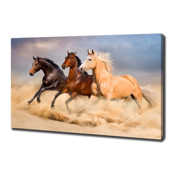 Canvas wall art Horses at gallop