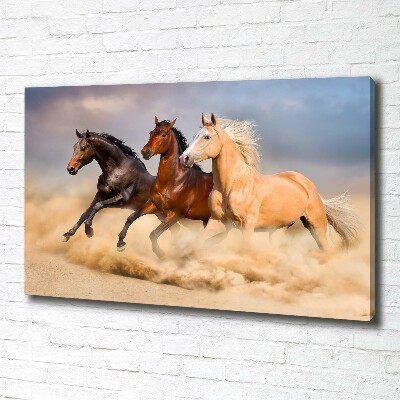 Canvas wall art Horses at gallop