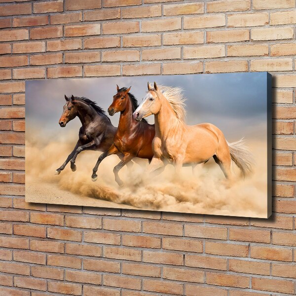 Canvas wall art Horses at gallop