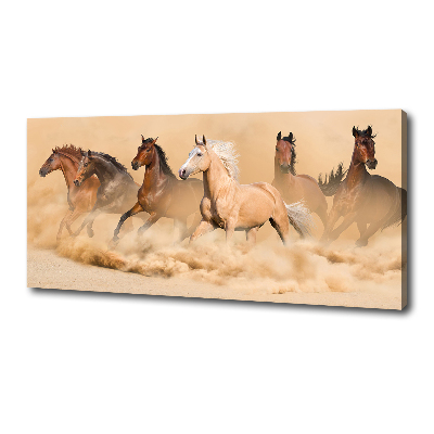 Canvas wall art Desert's horses