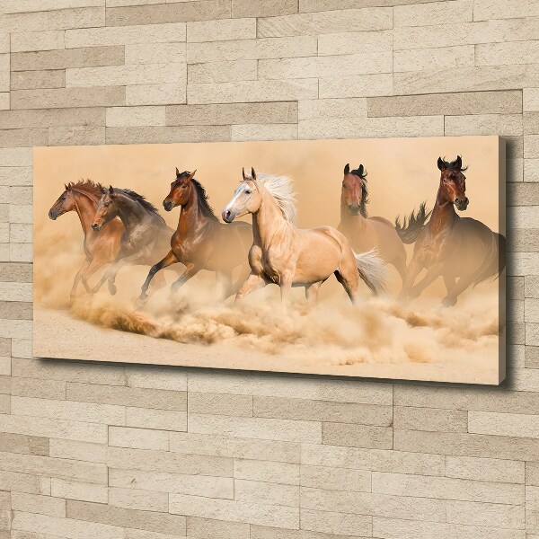 Canvas wall art Desert's horses