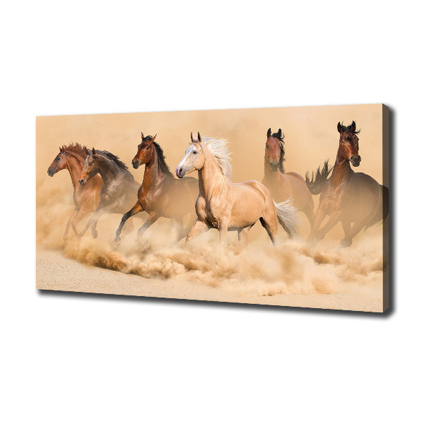 Canvas wall art Desert's horses