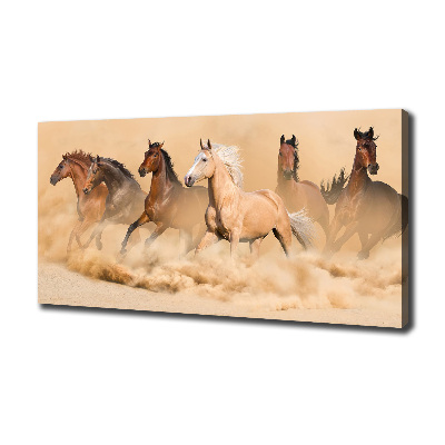 Canvas wall art Desert's horses