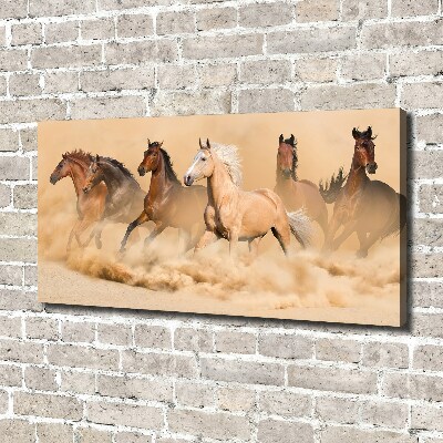 Canvas wall art Desert's horses