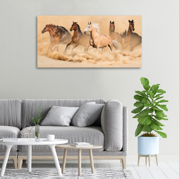 Canvas wall art Desert's horses