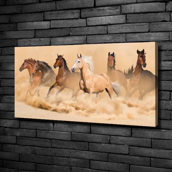 Canvas wall art Desert's horses