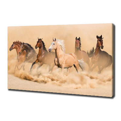 Canvas wall art Desert's horses