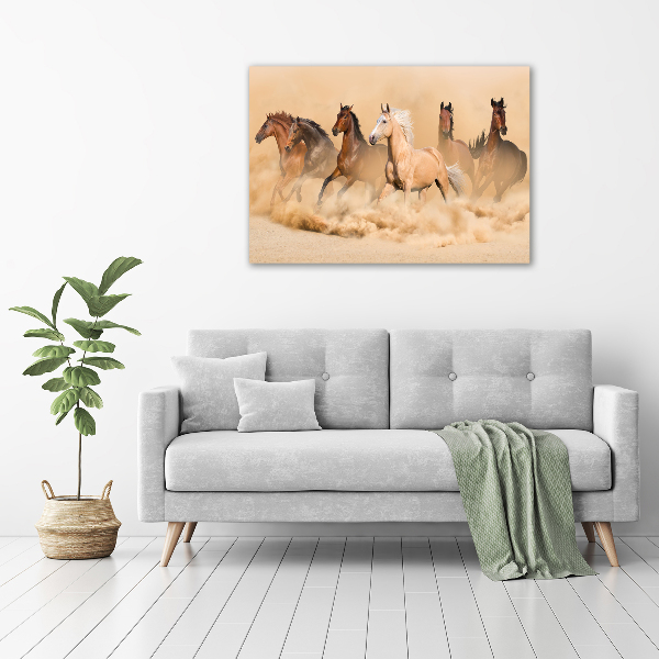 Canvas wall art Desert's horses