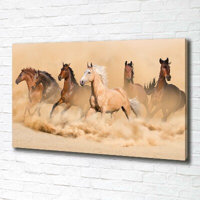 Canvas wall art Desert's horses