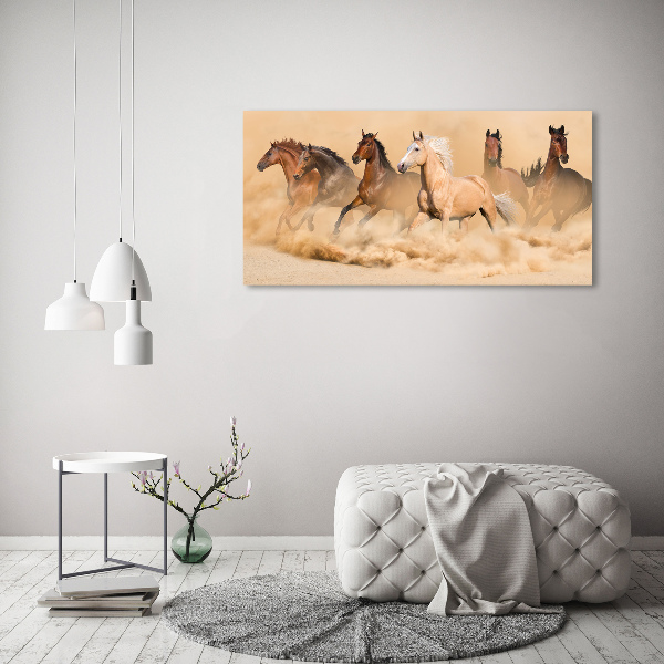 Canvas wall art Desert's horses