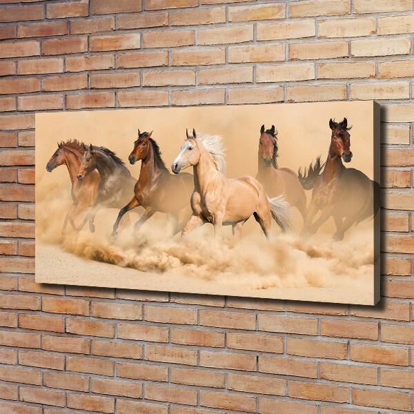 Canvas wall art Desert's horses