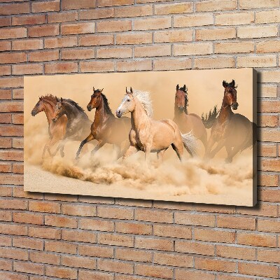 Canvas wall art Desert's horses