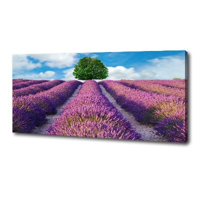 Canvas wall art Lavender field