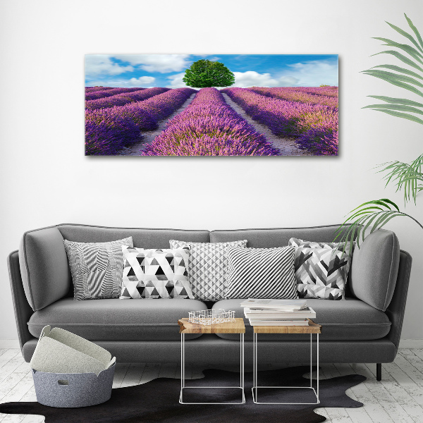 Canvas wall art Lavender field