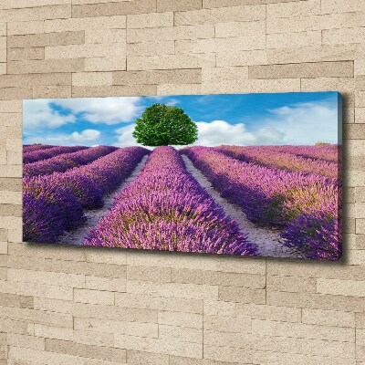 Canvas wall art Lavender field