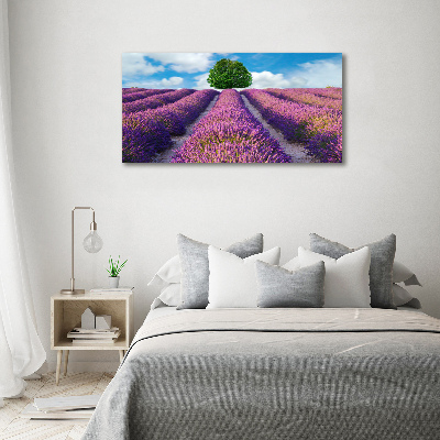 Canvas wall art Lavender field