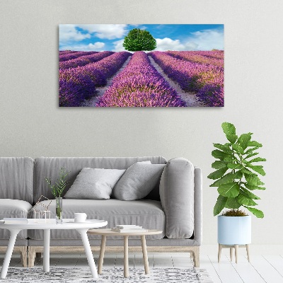 Canvas wall art Lavender field