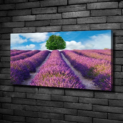 Canvas wall art Lavender field