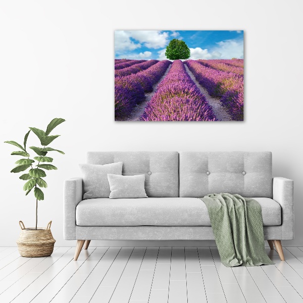 Canvas wall art Lavender field