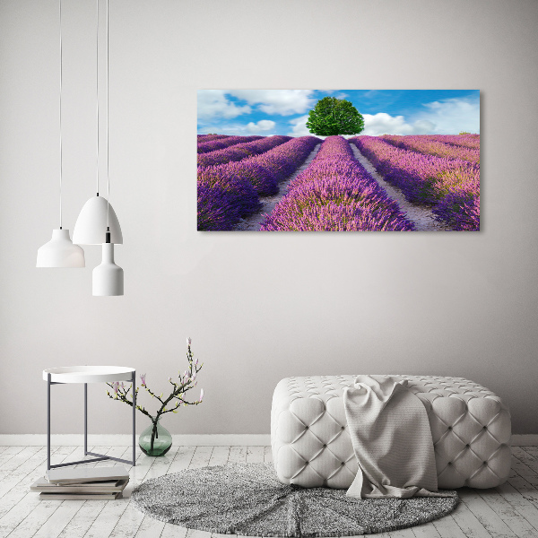 Canvas wall art Lavender field