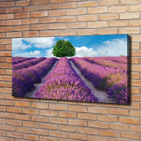 Canvas wall art Lavender field