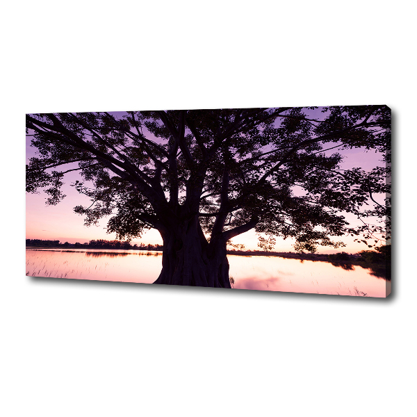 Canvas wall art Tree and lake